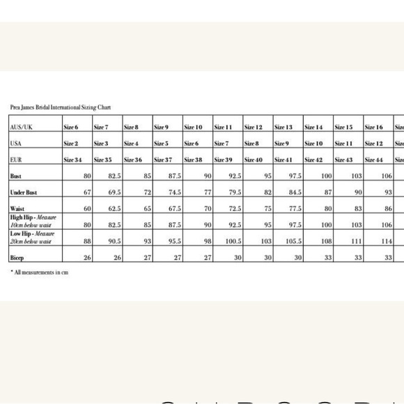 Prea James Asta Wedding Gown - Worn Once - Picture 3 of 3